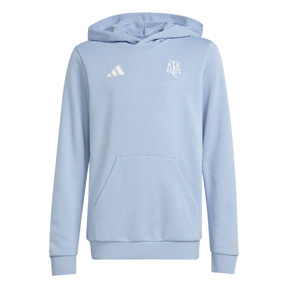 adidas Youth   Argentina Anniversary DNA Hoodie (Ambient Sky/Cloud White)