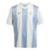 adidas Youth  Argentina 50th Anniversary Soccer Jersey (24/25)