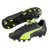 Puma evoSpeed 3.4 Leather FG Soccer Shoes (Black/Yellow)
