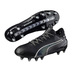 Puma evoTOUCH 2 FG Soccer Shoes (Black/Silver)