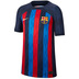 Nike Barcelona Soccer Jersey (Home 22/23)