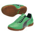 Puma Youth v5.11 IT Indoor Soccer Shoes (Green/Navy)